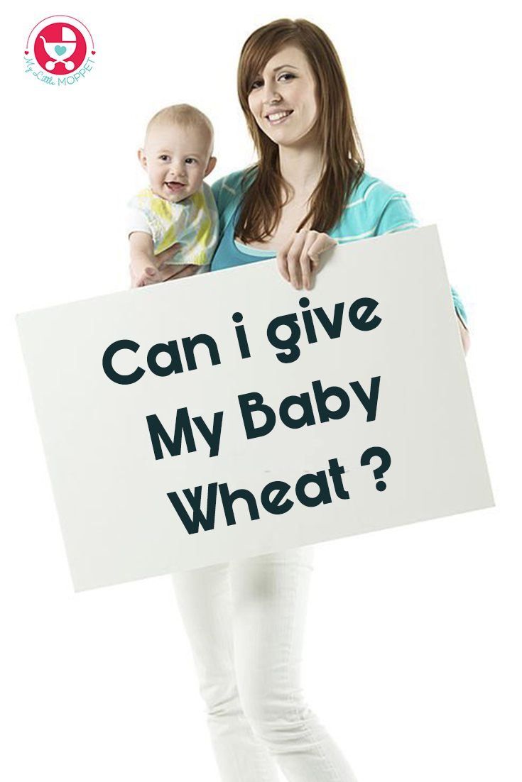 "Can I give my baby wheat?" is a common inquiry among parents who are starting solids, check this blog for detailed information on it moms!