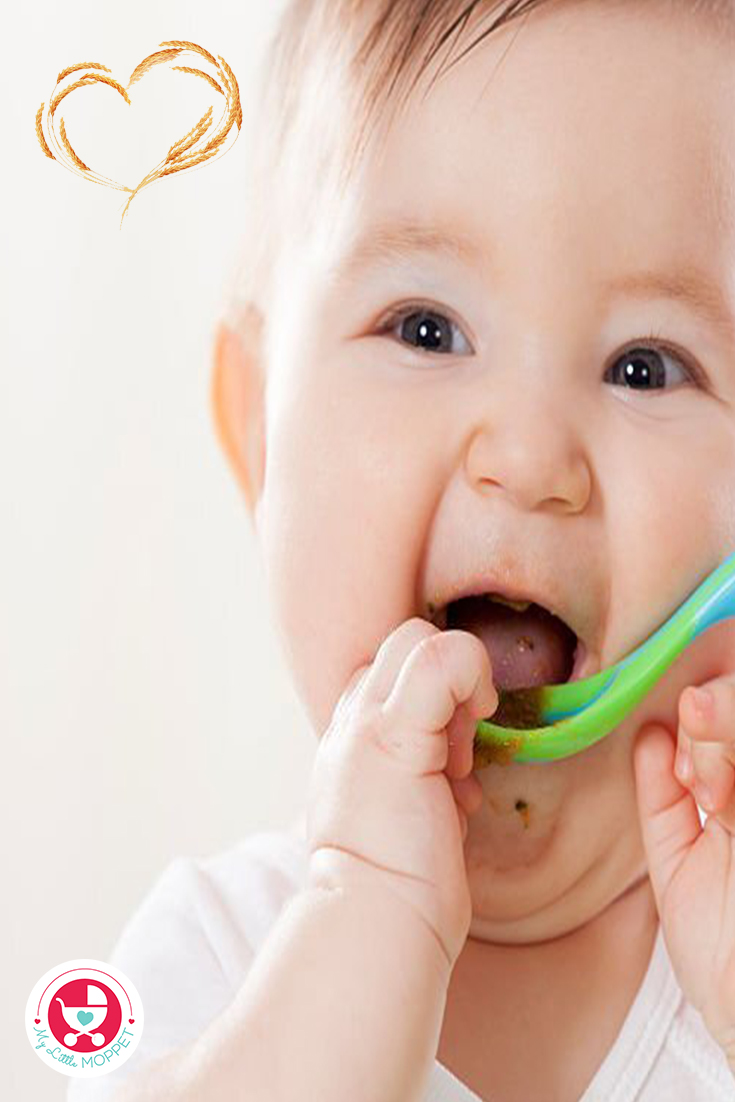 "Can I give my baby wheat?" is a common inquiry among parents who are starting solids, check this blog for detailed information on it moms!