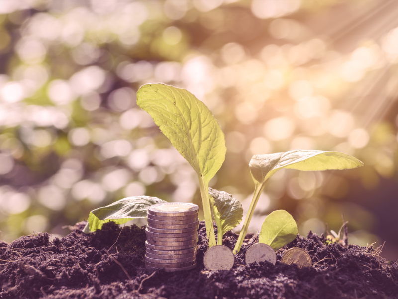 Are Sleep Consultants Worth It?