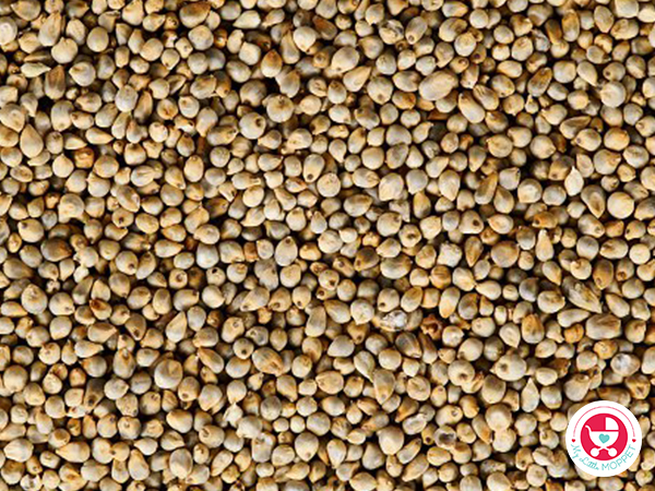 Bajra Porridge Delights: 15 Nutritious Recipes for Kids